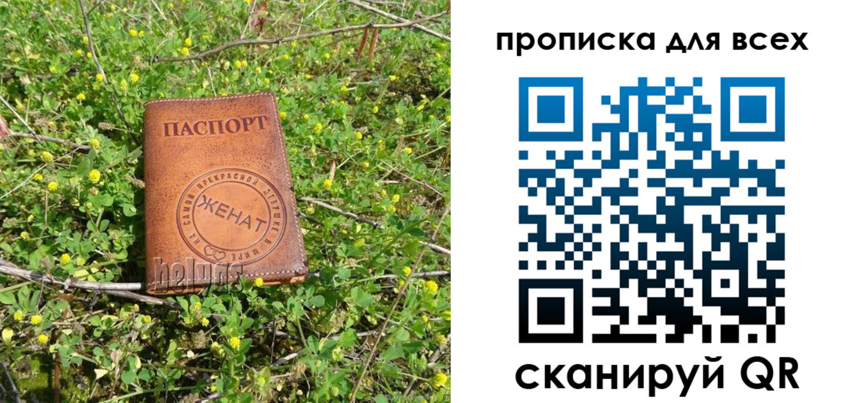 прописка поиск в Семилуках
